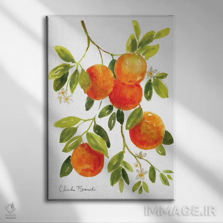 تابلو پرتقالها اثر کلودیا بیانکی - نمای روبهرو روی دیوار