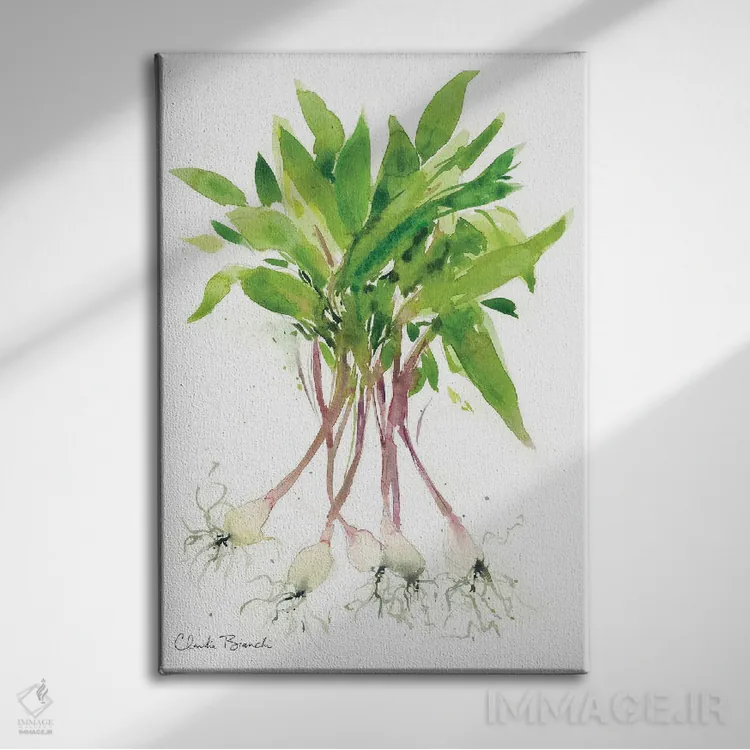 تابلو رامپها (پیازچه وحشی) اثر کلودیا بیانکی - نمای روبهرو روی دیوار