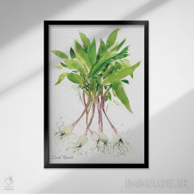 تابلو رامپها (پیازچه وحشی) اثر کلودیا بیانکی - نمای قابدار مشکی