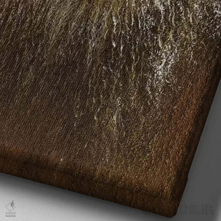 تابلو رویارویی شیرها اثر کالین بوگل - نمای نزدیک بافت بوم