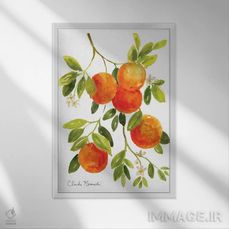 تابلو پرتقالها اثر کلودیا بیانکی - نمای قابدار سفید