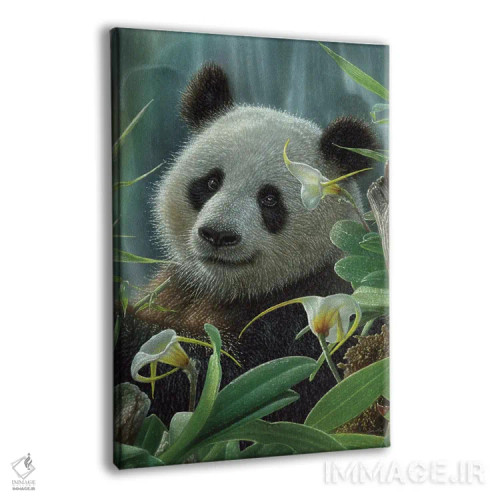 تابلو پاندای گرمسیری اثر کالین بوگل - نمای پرسپکتیو محصول