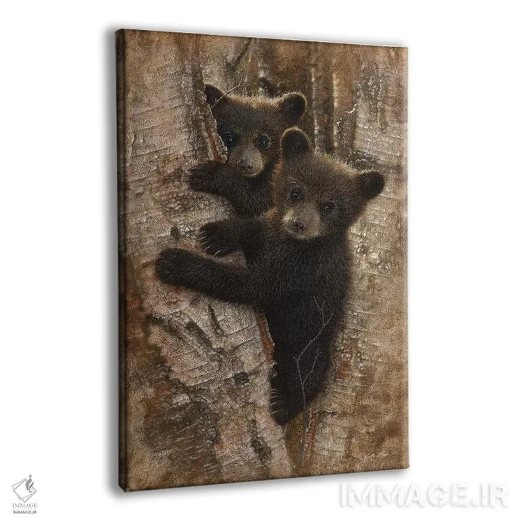 تابلو بچهخرسهای سیاه کنجکاو (عمودی) اثر کالین بوگل - نمای پرسپکتیو محصول