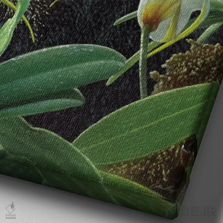 تابلو پاندای گرمسیری اثر کالین بوگل - نمای نزدیک بافت بوم