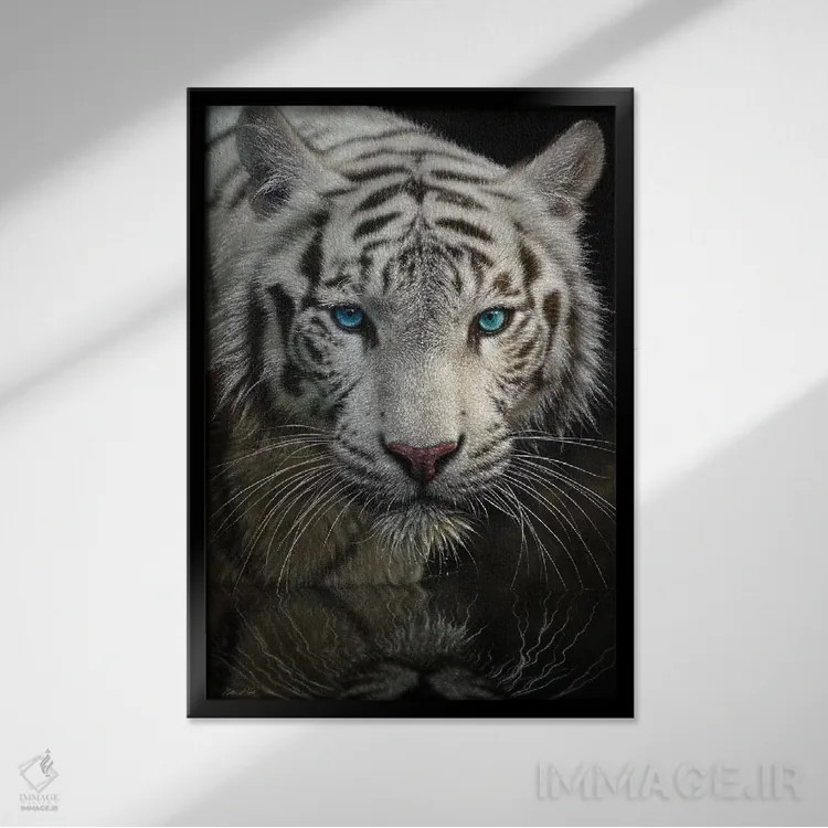 تابلو به سوی نور اثر کالین بوگل - نمای قابدار مشکی