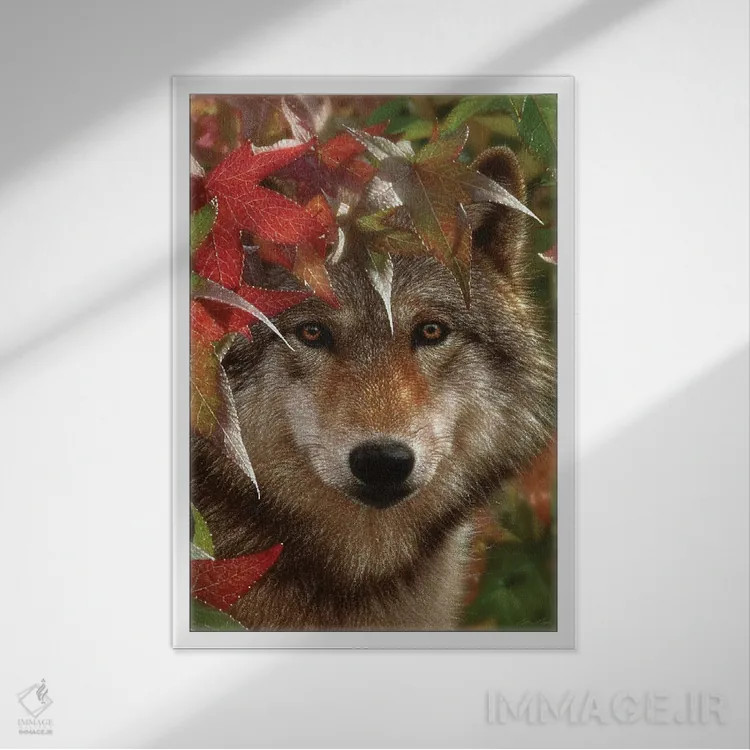 تابلو روبرو شدن پاییزی اثر کالین بوگل - نمای قابدار سفید