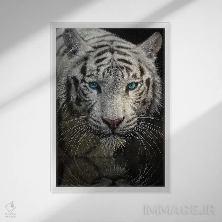 تابلو به سوی نور اثر کالین بوگل - نمای قابدار سفید