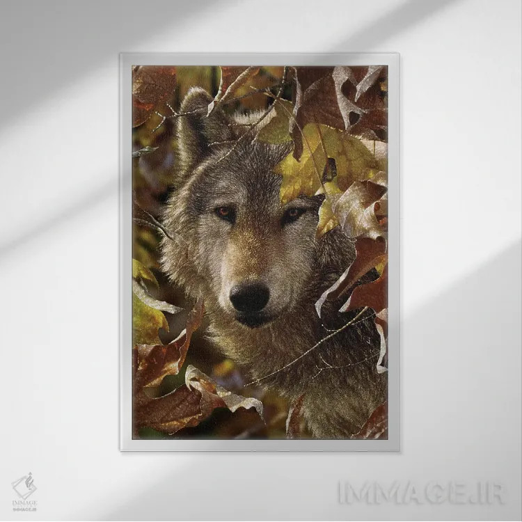 تابلو سایههای پاییزی اثر کالین بوگل - نمای قابدار سفید