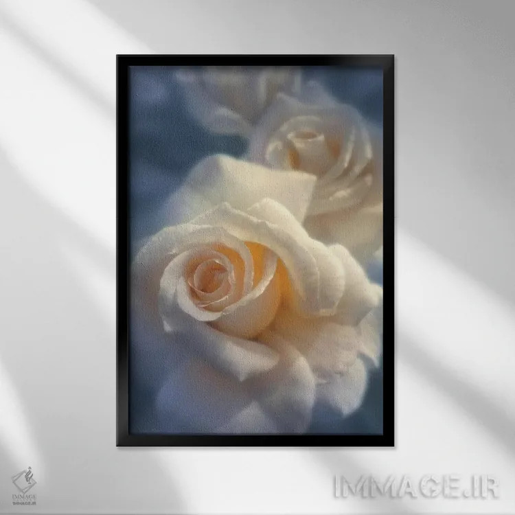 تابلو رز سفید فراموشنشدنی (افقی) اثر کالین بوگل - نمای قابدار مشکی