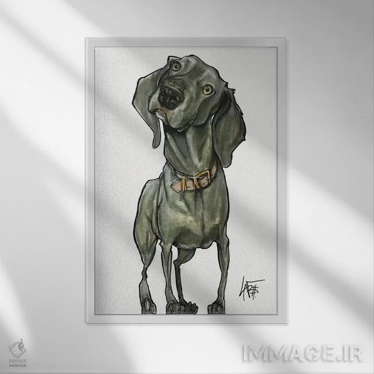 تابلو وایمارانِر کنجکاو (سگ) اثر کاریکاتورهای سگ (استودیو تخصصی کاریکاتور حیوانات) - نمای قابدار سفید