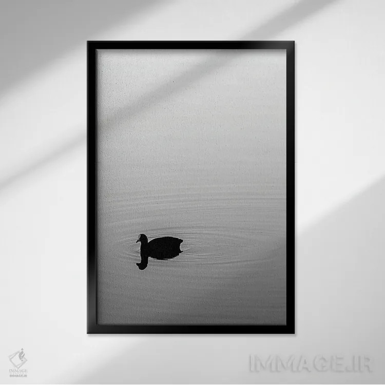تابلو همه چیز سیاه و سفید نیست اثر شارلوت کرد - نمای قابدار مشکی