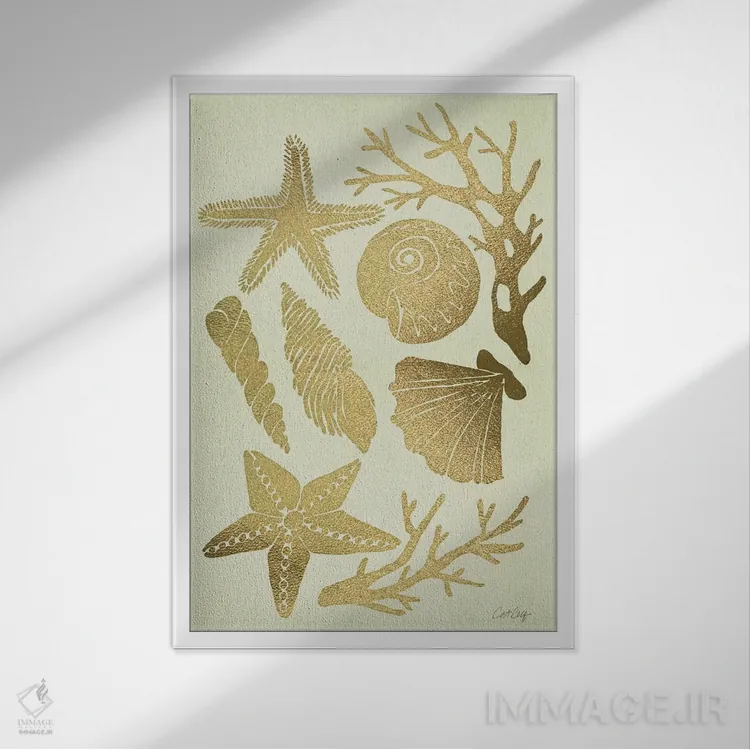 تابلو صدفهای طلایی اثر کت کوکیلت - نمای قابدار سفید