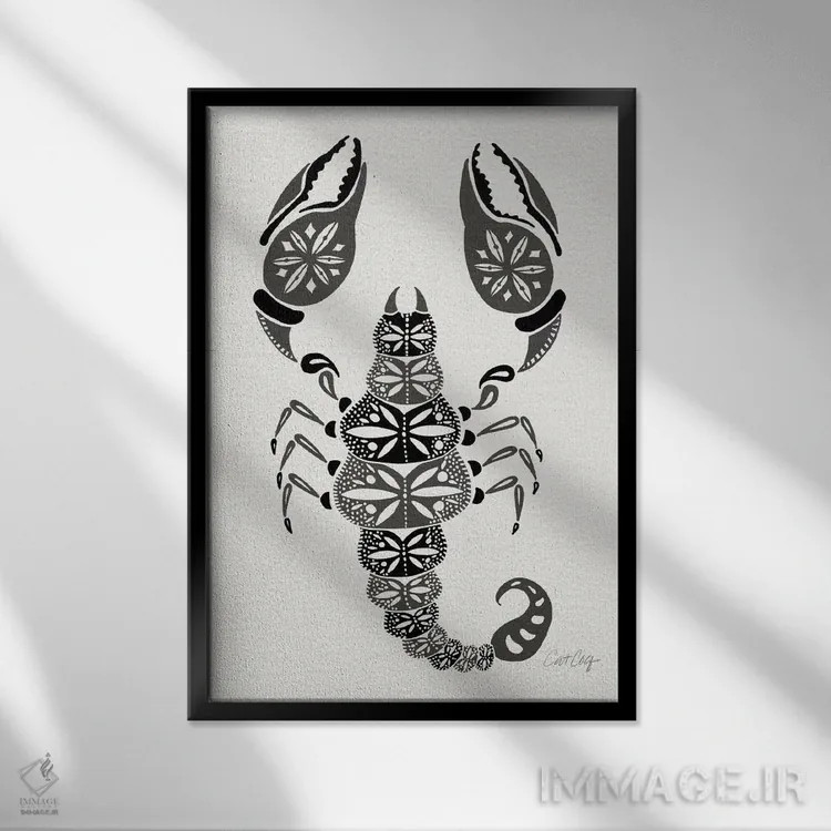 تابلو عقرب خاکستری اثر کت کوکیلت - نمای قابدار مشکی