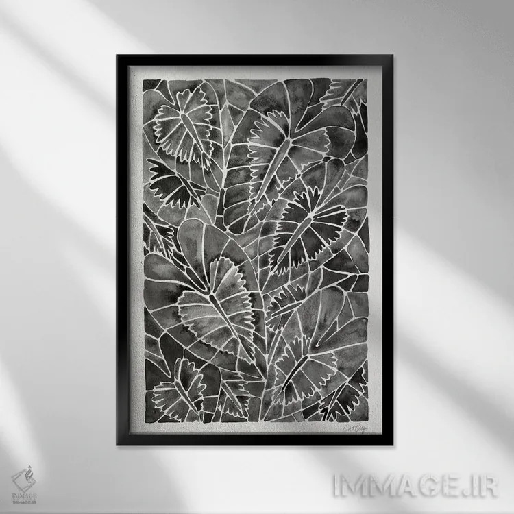 تابلو شیزماتوجلوتیس کالیپتراتای سیاه (گیاه زینتی) اثر کت کوکیلت - نمای قابدار مشکی