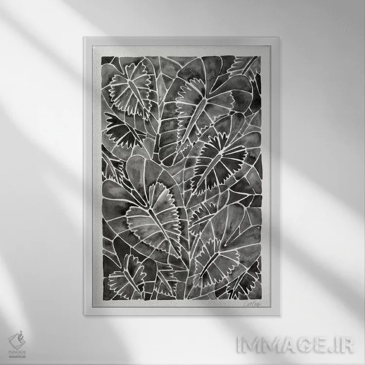 تابلو شیزماتوجلوتیس کالیپتراتای سیاه (گیاه زینتی) اثر کت کوکیلت - نمای قابدار سفید