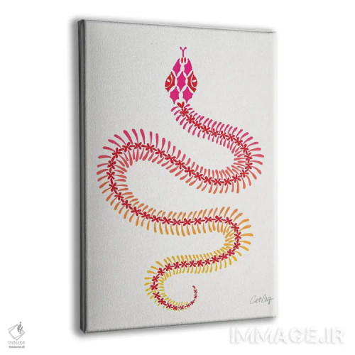 تابلو استخوانبندی مار گرباورهای صورتی اثر کت کوکیلت - نمای پرسپکتیو محصول