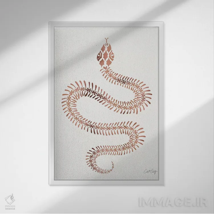 تابلو استخوانبندی مار رز و طلایی اثر کت کوکیلت - نمای قابدار سفید