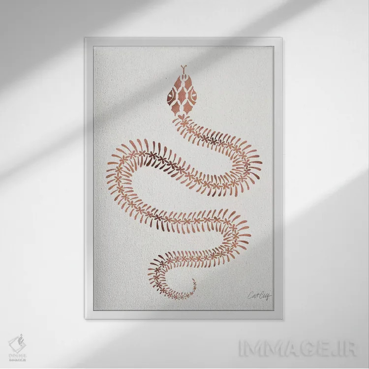 تابلو استخوانبندی مار رز و طلایی اثر کت کوکیلت - نمای قابدار سفید