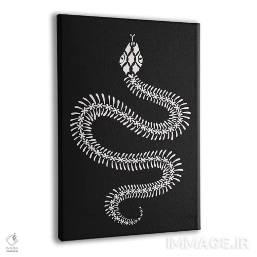 تابلو استخوانبندی مار سفید اثر کت کوکیلت - نمای پرسپکتیو محصول