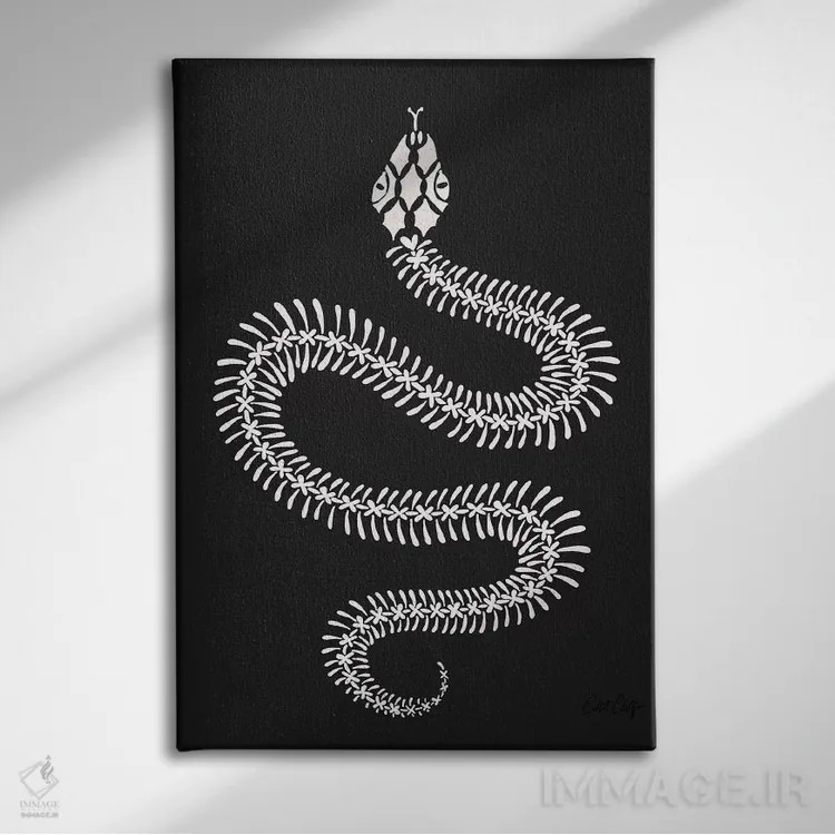 تابلو استخوانبندی مار سفید اثر کت کوکیلت - نمای روبهرو روی دیوار