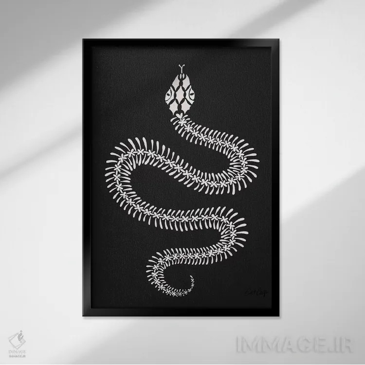 تابلو استخوانبندی مار سفید اثر کت کوکیلت - نمای قابدار مشکی
