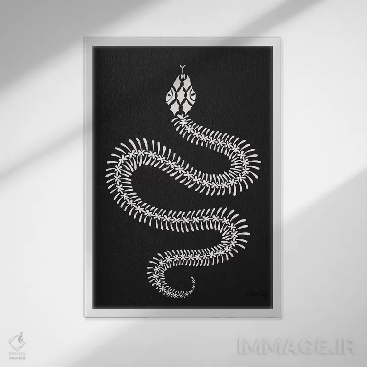 تابلو استخوانبندی مار سفید اثر کت کوکیلت - نمای قابدار سفید