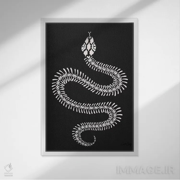 تابلو استخوانبندی مار سفید اثر کت کوکیلت - نمای قابدار سفید