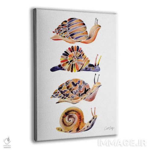 تابلو مجموعه حلزون اثر کت کوکیلت - نمای پرسپکتیو محصول