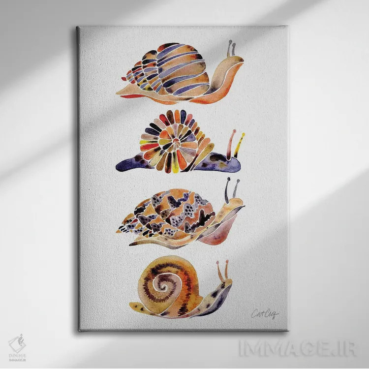 تابلو مجموعه حلزون اثر کت کوکیلت - نمای روبهرو روی دیوار