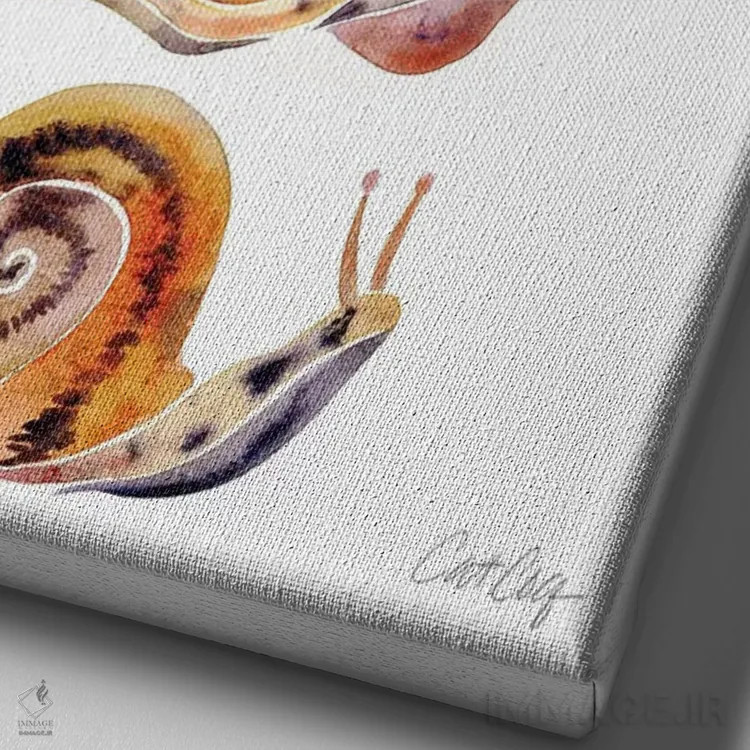 تابلو مجموعه حلزون اثر کت کوکیلت - نمای نزدیک بافت بوم