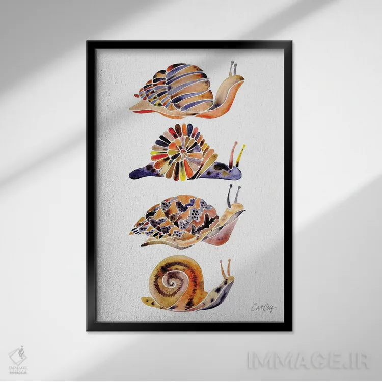 تابلو مجموعه حلزون اثر کت کوکیلت - نمای قابدار مشکی