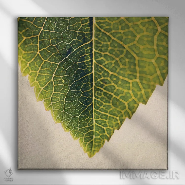 تابلو سبزی و گیاهان اثر اینگرید بدوز - نمای روبهرو روی دیوار