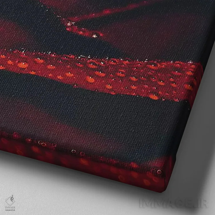 تابلو بانوی رز اثر اینگرید بدوز - نمای نزدیک بافت بوم