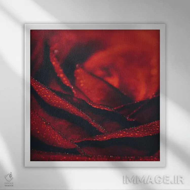 تابلو بانوی رز اثر اینگرید بدوز - نمای قابدار سفید