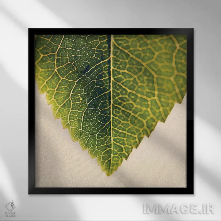 تابلو سبزی و گیاهان اثر اینگرید بدوز - نمای قابدار مشکی