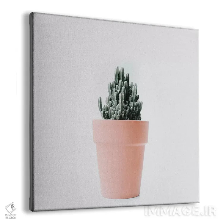 تابلو عشق کاکتوس III اثر اینگرید بدوز - نمای پرسپکتیو محصول