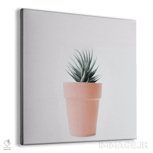 تابلو عشق کاکتوس II اثر اینگرید بدوز - نمای پرسپکتیو محصول