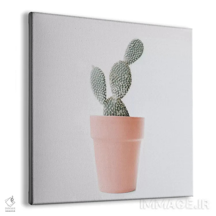 تابلو عشق کاکتوس I اثر اینگرید بدوز - نمای پرسپکتیو محصول