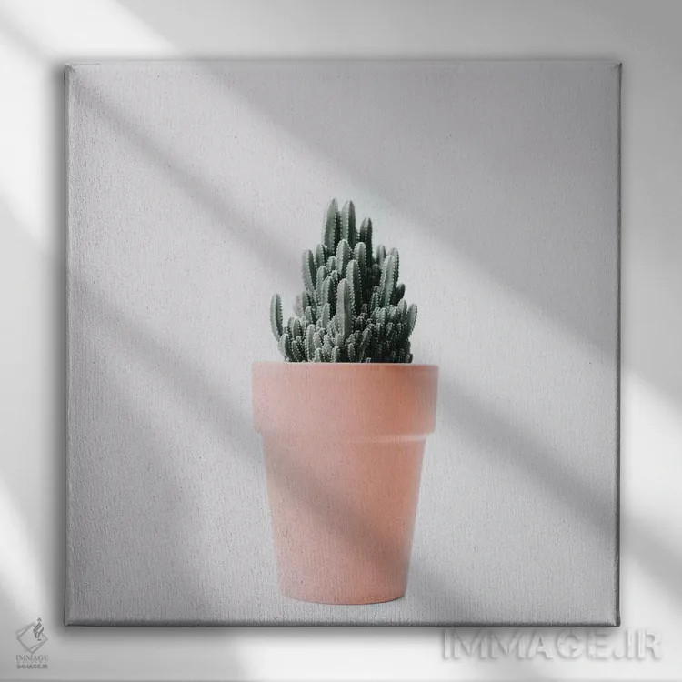 تابلو عشق کاکتوس III اثر اینگرید بدوز - نمای روبهرو روی دیوار