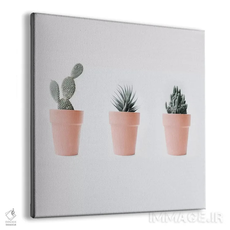 تابلو عشق کاکتوس IV اثر اینگرید بدوز - نمای پرسپکتیو محصول