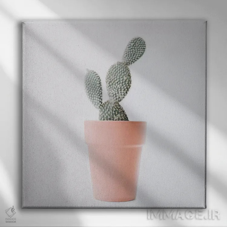 تابلو عشق کاکتوس I اثر اینگرید بدوز - نمای روبهرو روی دیوار