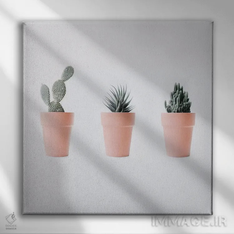 تابلو عشق کاکتوس IV اثر اینگرید بدوز - نمای روبهرو روی دیوار