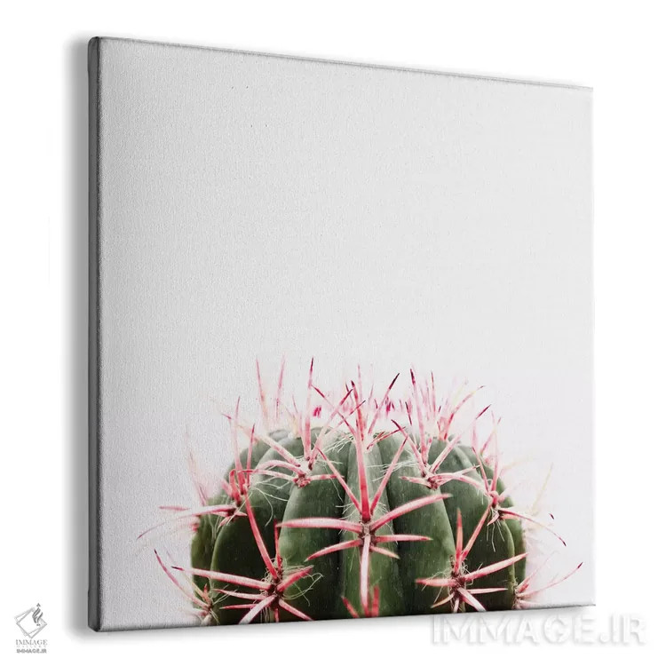 تابلو کاکتوس قرمز اثر اینگرید بدوز - نمای پرسپکتیو محصول