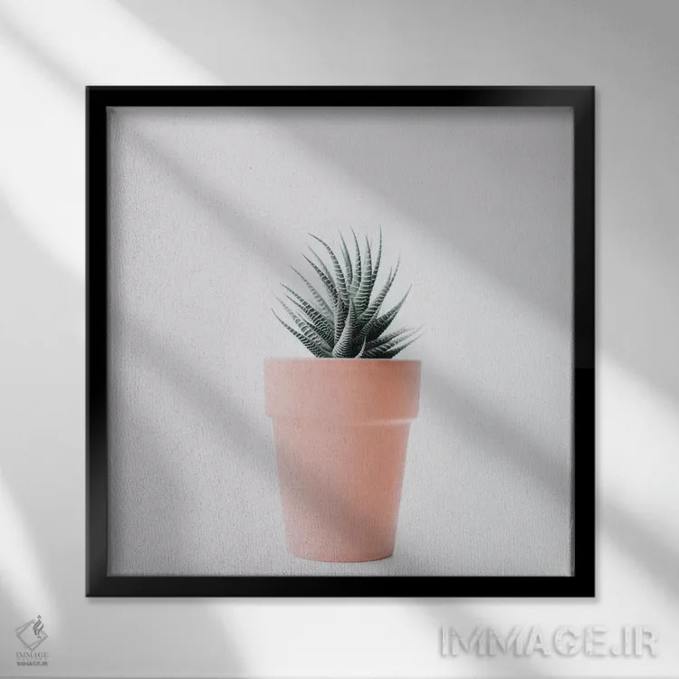 تابلو عشق کاکتوس II اثر اینگرید بدوز - نمای قابدار مشکی