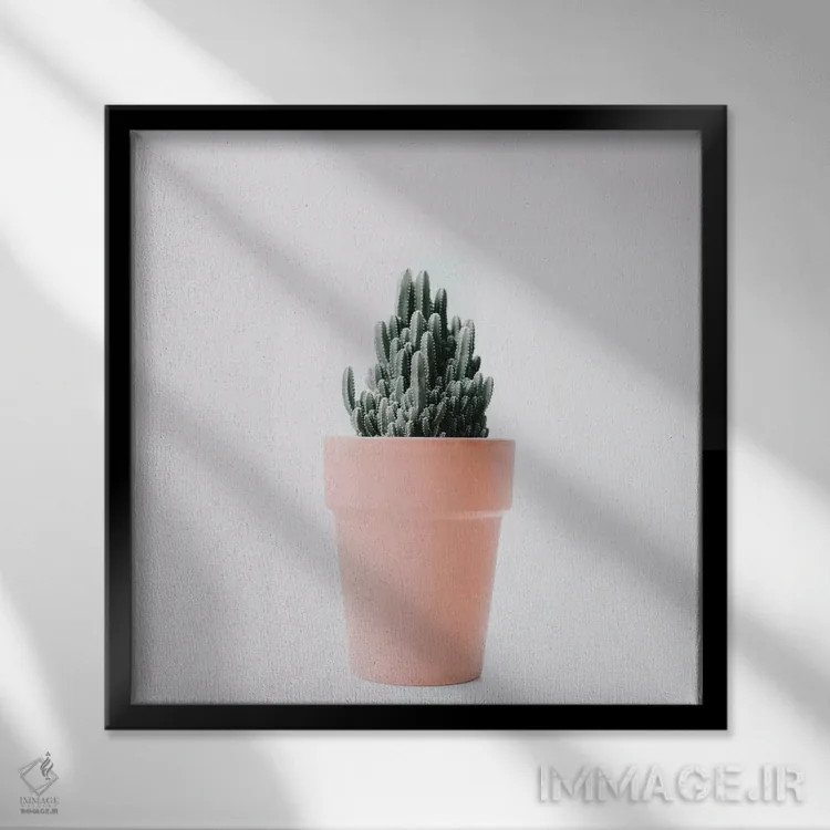 تابلو عشق کاکتوس III اثر اینگرید بدوز - نمای قابدار مشکی