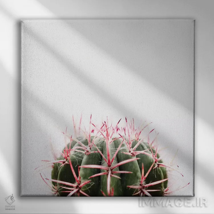 تابلو کاکتوس قرمز اثر اینگرید بدوز - نمای روبهرو روی دیوار