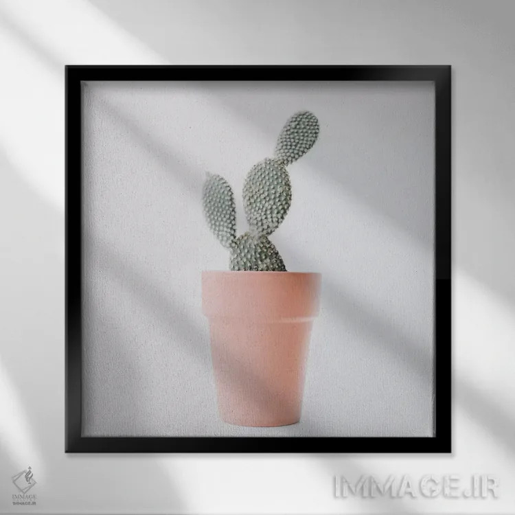 تابلو عشق کاکتوس I اثر اینگرید بدوز - نمای قابدار مشکی