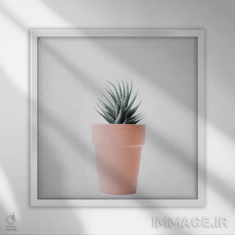 تابلو عشق کاکتوس II اثر اینگرید بدوز - نمای قابدار سفید