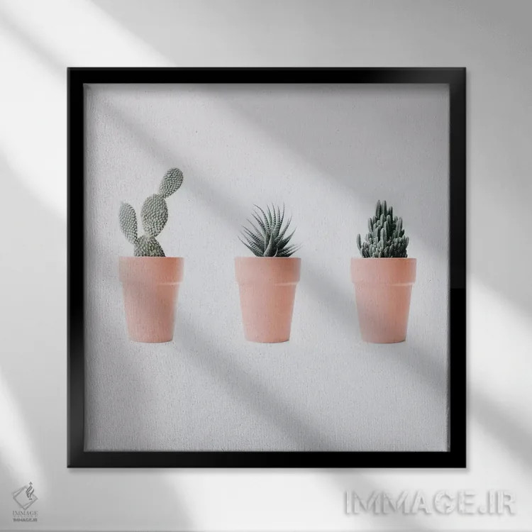 تابلو عشق کاکتوس IV اثر اینگرید بدوز - نمای قابدار مشکی