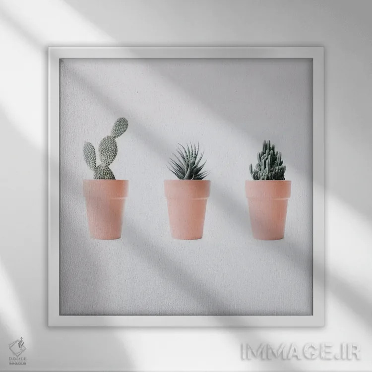 تابلو عشق کاکتوس IV اثر اینگرید بدوز - نمای قابدار سفید